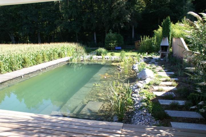 kleiner Schwimmteich